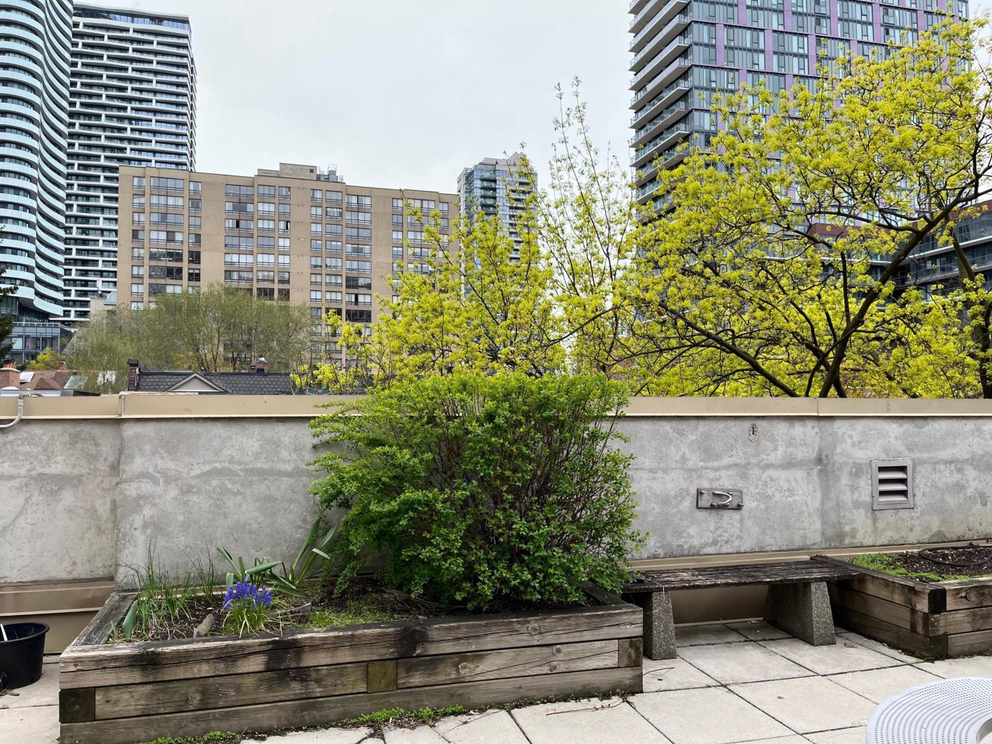 Neill Wycik Hotel Toronto Bagian luar foto